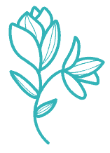 T Chauhan Consultancy