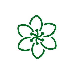 T Chauhan Consultancy
